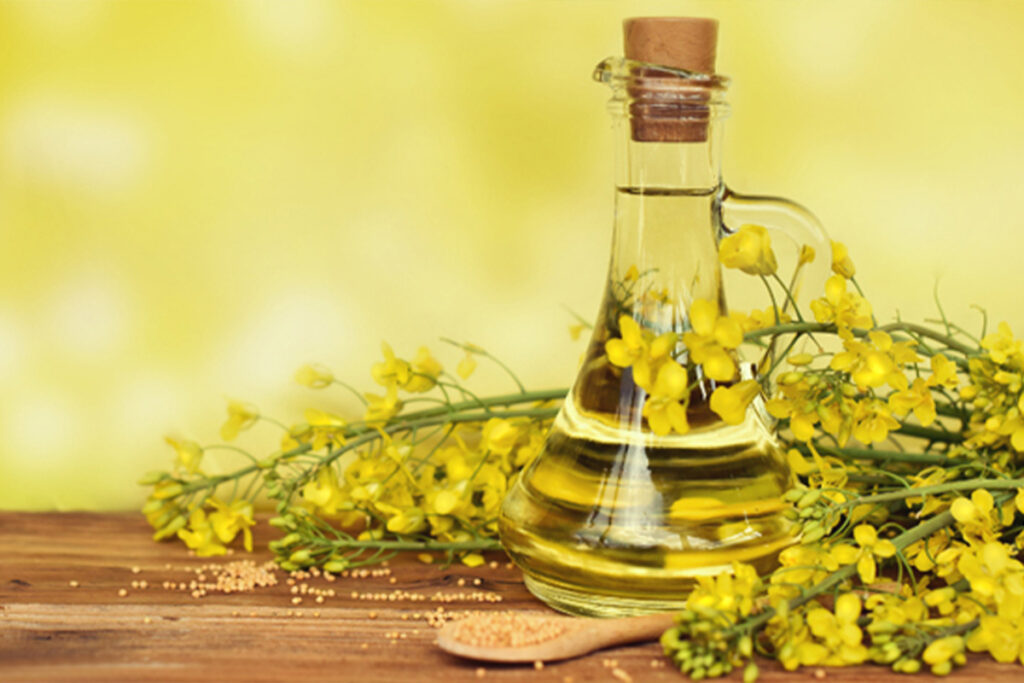 Rapeseed Oil