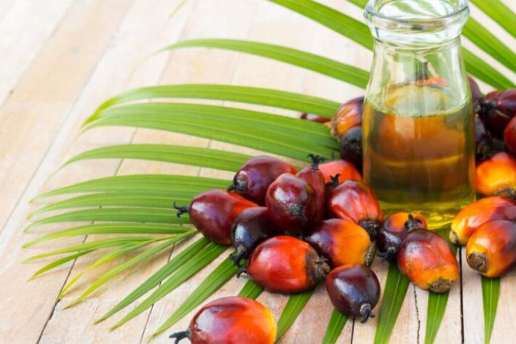 Palm Oil